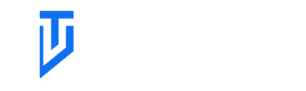 Wired Development Logo